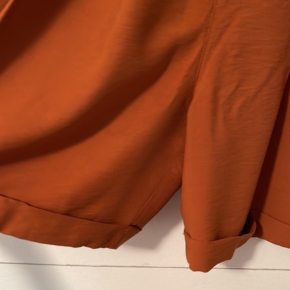 Vtg Cline Kolarek Rust Brown Midi High Waisted Shorts Size 12 - Picture 7 of 8